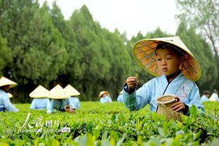 埃梅里：满意能击败小蜜蜂，但不满球员冲突&我要求他们尊重对手